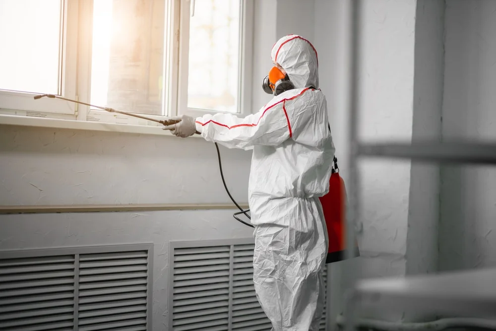 Professional mold remediation services in Harwood, ND